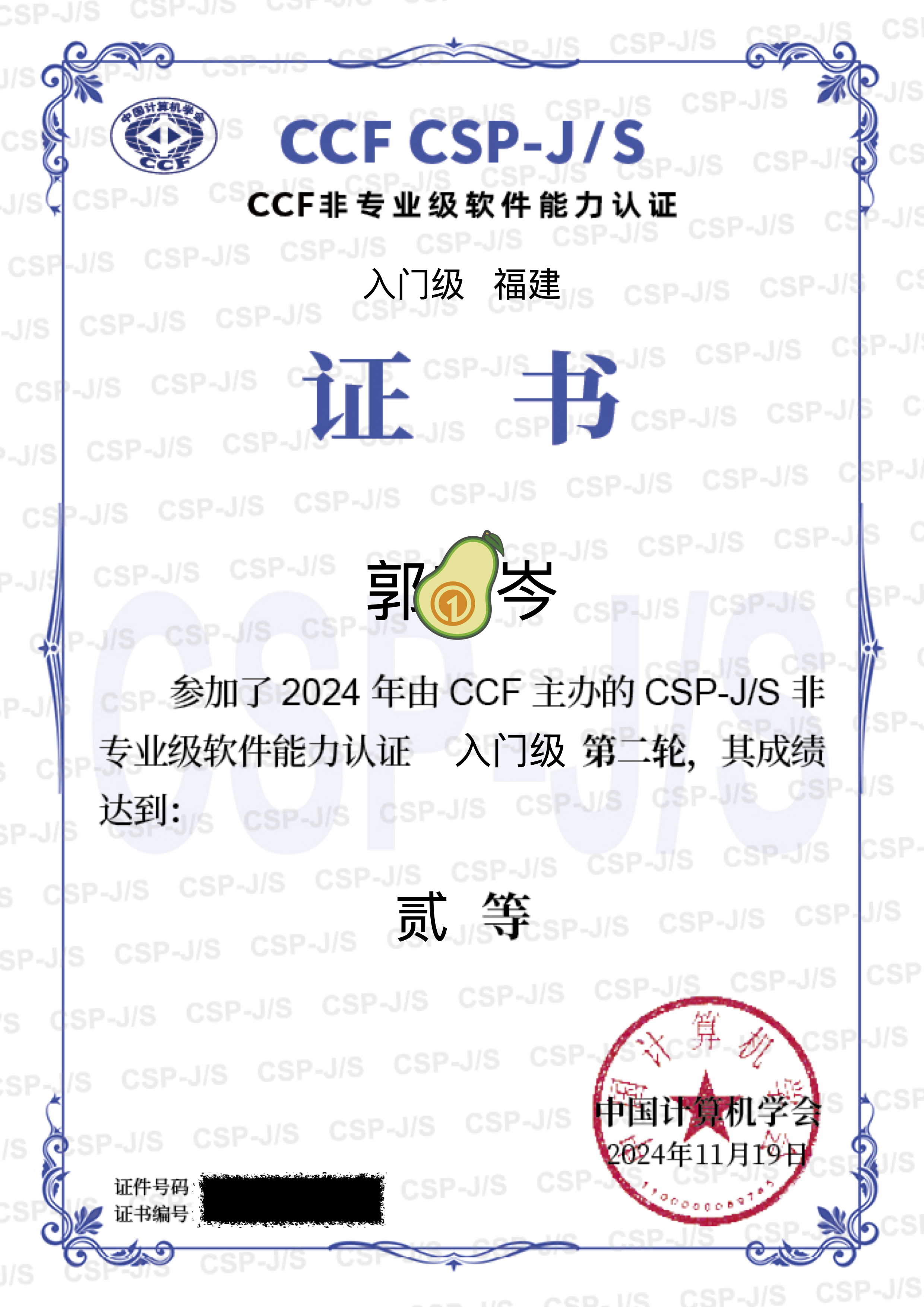 获奖证书 - 11